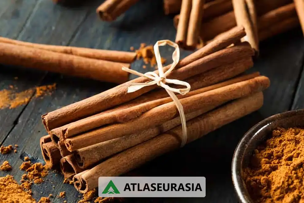 اسانس دارچین